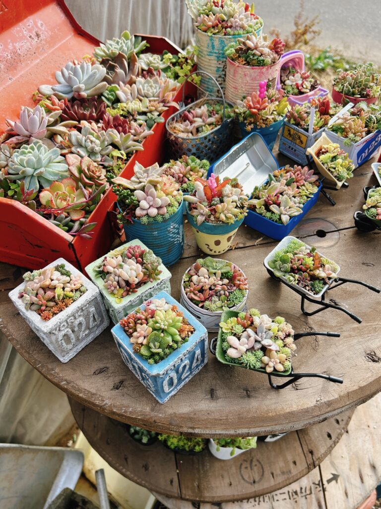 taka | Rojima（ロジマ）